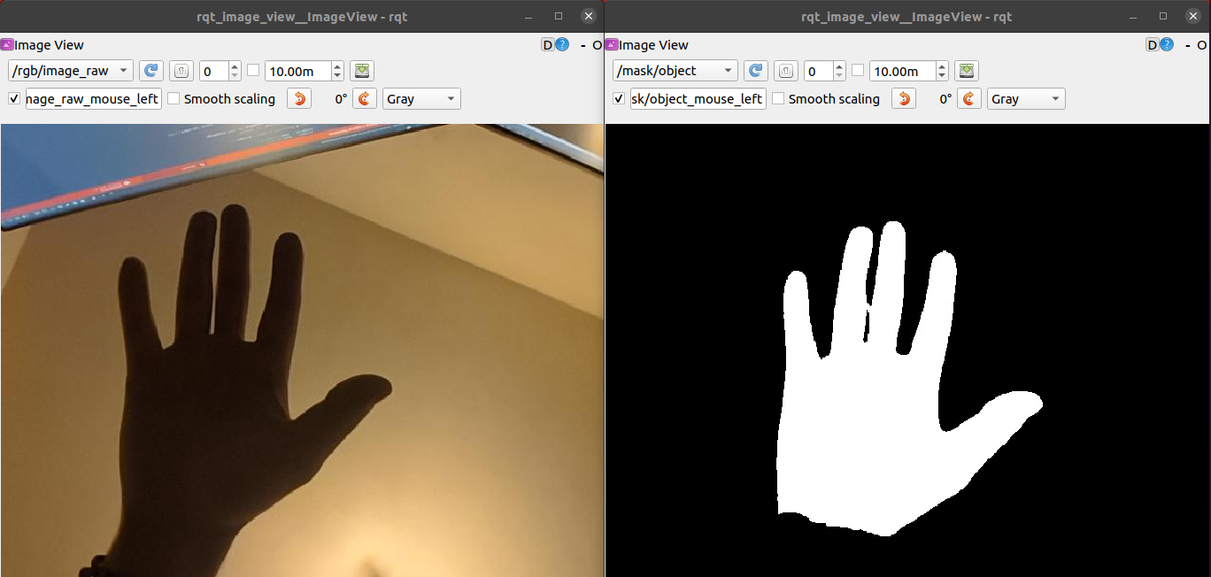 Raw view and SAM3 Mask for 'hand'
